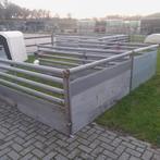 mooie hokken 210x320x100, Dieren en Toebehoren, Schapen, Geiten en Varkens, Vrouwelijk, Geit