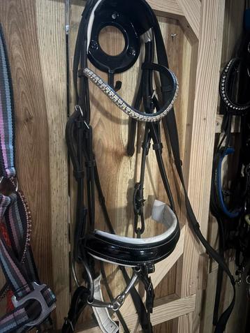 Hoofdstel pony beschikbaar voor biedingen