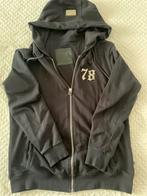 Originele Philipp Plein vest met capuchon, Zwart, Maat 56/58 (XL), Ophalen of Verzenden, Philipp Plein