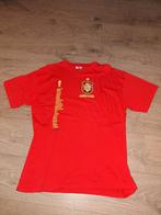 Spanje shirt met spelers van Spanje 2010, Sport en Fitness, Voetbal, Ophalen of Verzenden, Zo goed als nieuw, Shirt