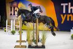 Topbraaf leerpaard 1.35 spr. - LEASE, Dieren en Toebehoren, Paarden, Merrie, ZZ, Springpaard, Gechipt