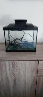 Aquarium 20 liter, Ophalen, Gebruikt, Leeg aquarium