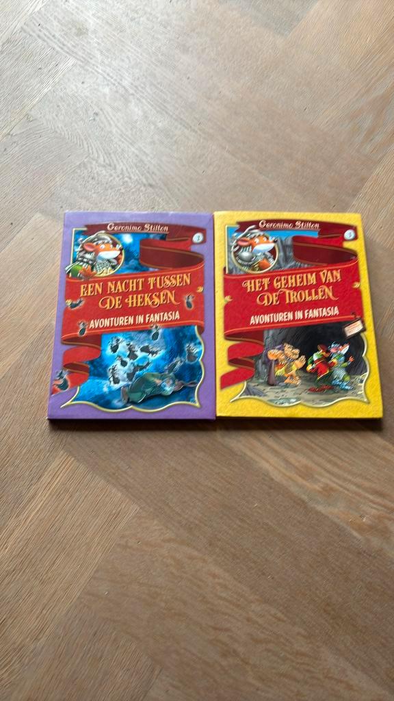 Geronimo Stilton - Een nacht tussen de heksen & avonturen in, Boeken, Kinderboeken | Jeugd | onder 10 jaar, Zo goed als nieuw