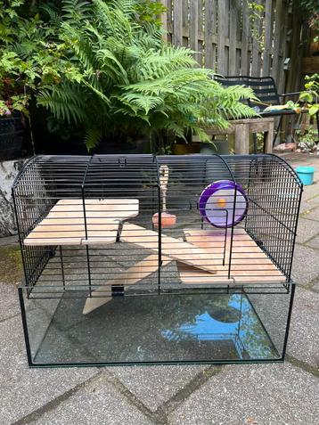 Hamsterhok beschikbaar voor biedingen