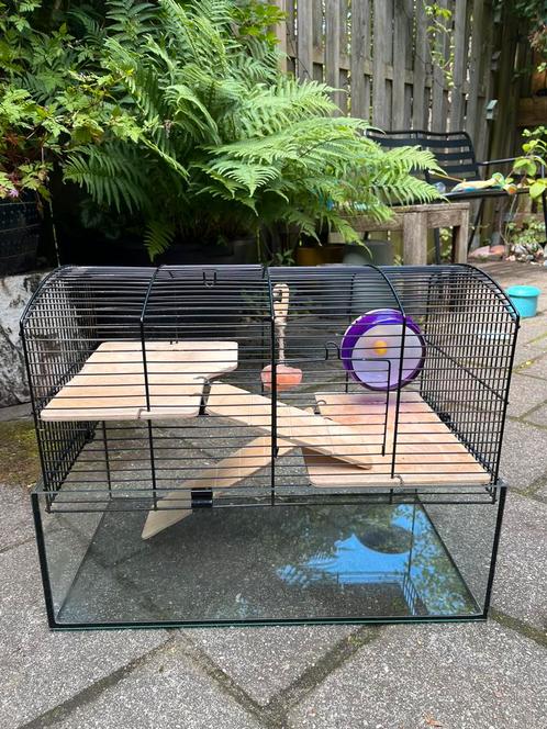 Hamsterhok, Dieren en Toebehoren, Knaagdieren en Konijnen | Hokken en Kooien, Gebruikt, Hok, Minder dan 60 cm, Minder dan 75 cm