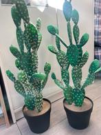 2x mooie nep cactussen, Huis en Inrichting, Kamerplanten, Cactus, Minder dan 100 cm, Ophalen of Verzenden, Halfschaduw