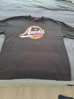 heineken t shirt, Ophalen of Verzenden, Nieuw, Kleding, Heineken
