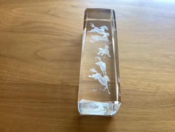 PAARDEN in GLAS beschikbaar voor biedingen