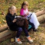 Hobby Horse stokpaard kastanje bruin met Halster | Luxe uitv, Hobby en Vrije tijd, Overige Hobby en Vrije tijd, Ophalen of Verzenden