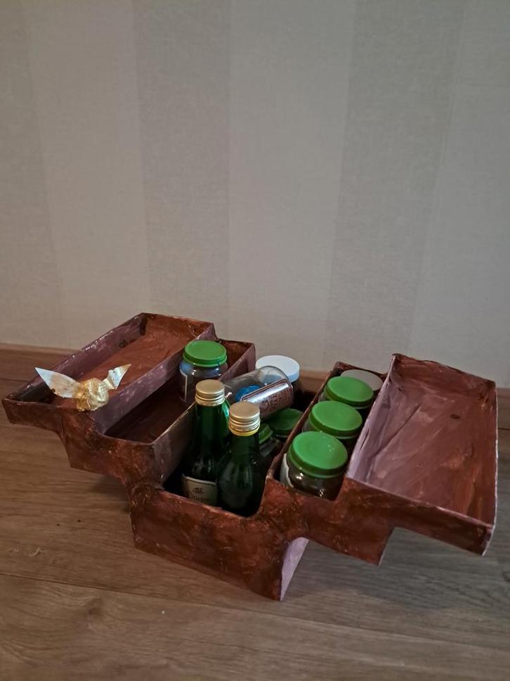 Harry Potter toverdrank surprise. Toverfan. Met gouden snaai, Diversen, Sinterklaas, Ophalen of Verzenden