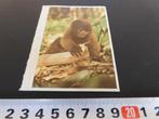 sticker ESSO album  Aap, Ophalen, Zo goed als nieuw, Bedrijf of Vereniging