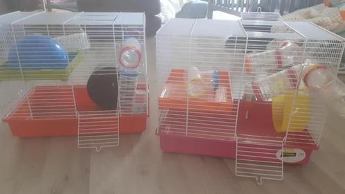 Dwerg hamster kooi, Dieren en Toebehoren, Knaagdieren en Konijnen | Hokken en Kooien, Gebruikt, Kooi, Minder dan 60 cm, Minder dan 75 cm