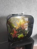 Biorb life 60 mrc, Dieren en Toebehoren, Ophalen, Zo goed als nieuw