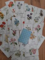Oud kwartetspel bloemenkwartet, Ophalen of Verzenden