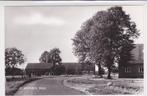 Weebosch de Witrijt  bij Bergeijk, Verzenden, 1960 tot 1980, Ongelopen, Noord-Brabant