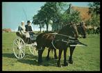 Mooi Friesland : Friese Klederdracht - koets rijden, Verzenden, 1960 tot 1980, Gelopen, Friesland