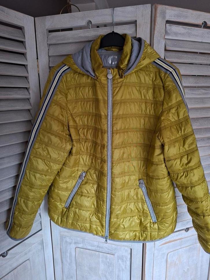 Betty Barclay Outdoor gewatteerd jasje, maat 48 zgan, Kleding | Dames, Jassen | Winter, Zo goed als nieuw, Maat 46/48 (XL) of groter
