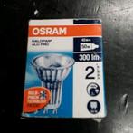 Osram lampje 42w   230v, Ophalen of Verzenden, Zo goed als nieuw