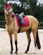 Euro star dressuur dekje van €79,95 voor €55,00, Dieren en Toebehoren, Paarden en Pony's | Dekens en Dekjes, Ophalen of Verzenden