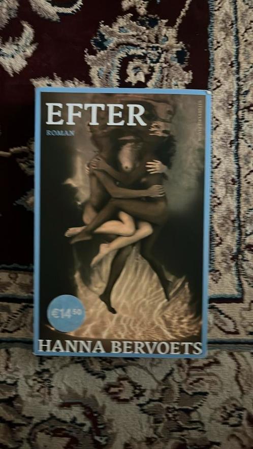 Hanna Bervoets - Efter, Boeken, Literatuur, Zo goed als nieuw, Nederland, Ophalen of Verzenden