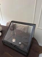 Prachtig Vitrinekast /decoratie kastje Landelijk/Industrieel, Ophalen, Zo goed als nieuw