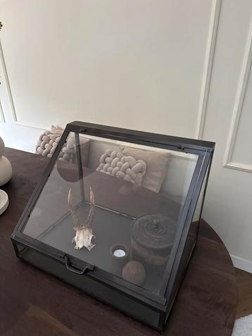 Prachtig Vitrinekast /decoratie kastje Landelijk/Industrieel beschikbaar voor biedingen