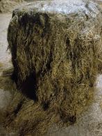 Midi balen herfst kuil, Ophalen of Verzenden, Vee