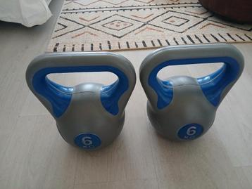 ️‍️ Dumbbells – 6 kg per stuk – Set van 2 beschikbaar voor biedingen