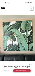 Bananaleaf xxl, Ophalen of Verzenden