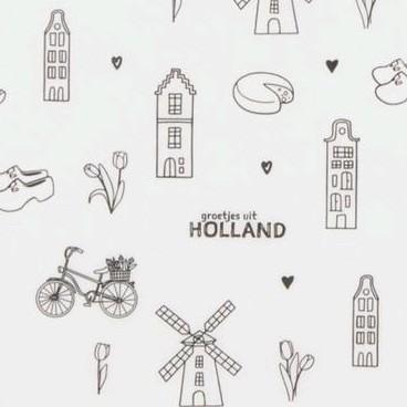 zakjes holland 12x19 cm, Diversen, Cadeaupapier, Nieuw, Ophalen of Verzenden