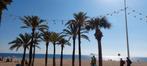 Vakantieapp. Benidorm - Last minute naar de zon! 16/6-24/6, Vakantie, 2 slaapkamers, Costa Blanca, Appartement, Stad