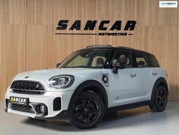 Mini Mini Countryman 2.0 Cooper S E ALL4 NORTHWOOD EDITION P beschikbaar voor biedingen