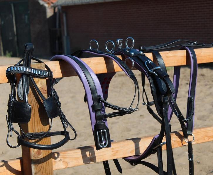 Te koop nieuw mini mini shetlander mentuig paars onderlegd, Dieren en Toebehoren, Paarden en Pony's | Hoofdstellen en Tuigage