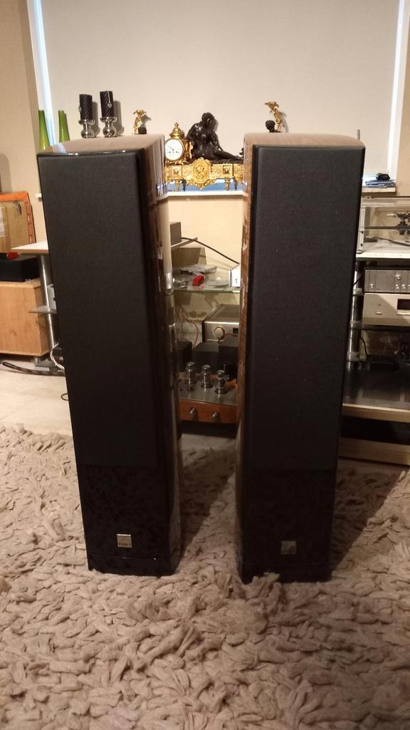 Dali Epicon 6 in perfecte nieuwstaat, Audio, Tv en Foto, Luidsprekers, Zo goed als nieuw, Front, Rear of Stereo speakers, 120 watt of meer