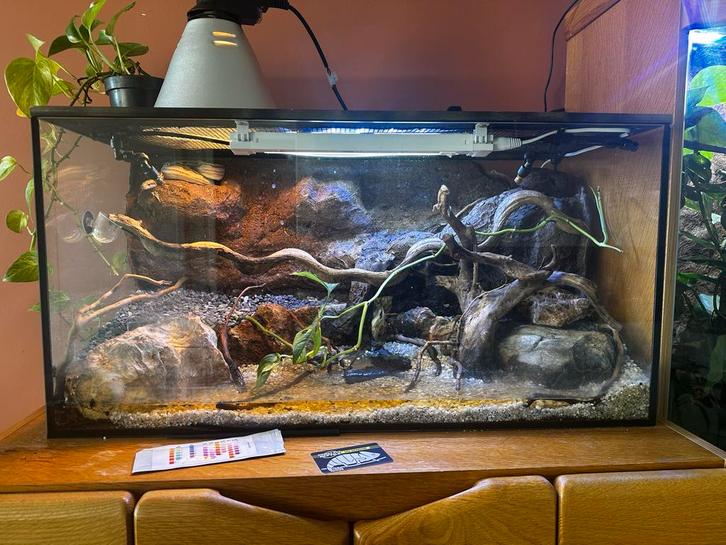 Paludarium met ingebouwde waterval, Dieren en Toebehoren, Reptielen en Amfibieën | Toebehoren, Zo goed als nieuw, Terrarium of Paludarium