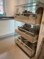 Mooie unieke terrariumflat terrariumtoren op wielen, Dieren en Toebehoren, Ophalen, Zo goed als nieuw, Terrarium of Paludarium