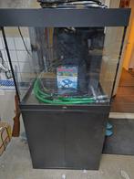 Juwel Aquarium 70x50x60, Ophalen, Zo goed als nieuw, Leeg aquarium