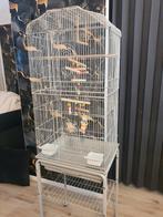 Supper Handige Kooi, Ophalen, Zo goed als nieuw, Metaal, Vogelkooi