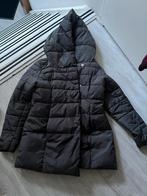 Grijse puffjas Amisu, Maat 38/40 (M), Ophalen of Verzenden, Grijs, Gedragen