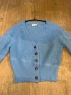 FABIENNE CHAPOT XS, Kleding | Dames, Truien en Vesten, Ophalen of Verzenden, Zo goed als nieuw, Maat 34 (XS) of kleiner, Blauw