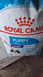 Royal canin pup gigant 15kg, Ophalen, Hond