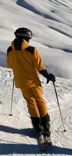 Peak Performance skipak Heren Medium, zo goed als nieuw, Ophalen of Verzenden, Zo goed als nieuw, Maat 48/50 (M), Pak