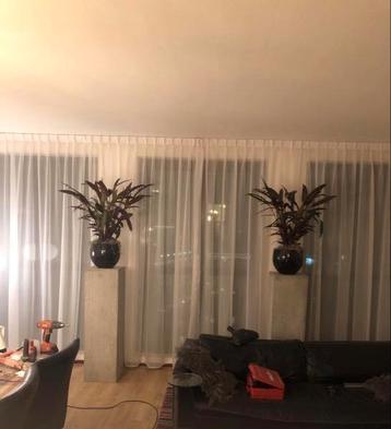 Vitrage wit 2 stuks x 355 breed x 260 hoog beschikbaar voor biedingen