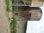 pluimvee graan silo voedersilo kippenvoer, Ophalen, Pluimvee