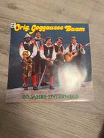 Orig. Goggausee Buam, Ophalen of Verzenden, Zo goed als nieuw, 12 inch