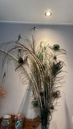 Pauwen veren, Huis en Inrichting, Ophalen, Nieuw