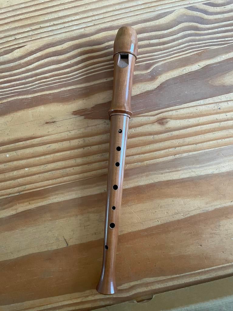 Aura blokfluit, Muziek en Instrumenten, Blaasinstrumenten | Blokfluiten, Ophalen of Verzenden, Gebruikt, Met koffer, hoes of etui