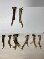 Reeën geweien. Éen set., Verzamelen, Verzenden, Zo goed als nieuw, Beeldje of Figuurtje