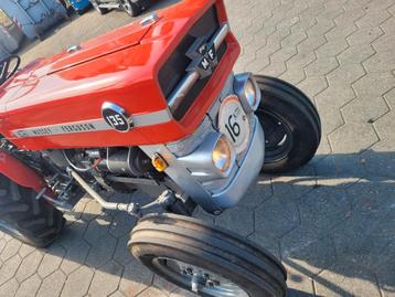 Massey ferguson 135 smalspoor  beschikbaar voor biedingen