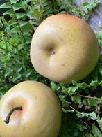 Appels goudrenetten, Ophalen of Verzenden